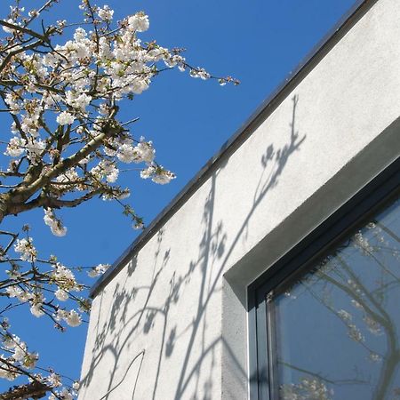 B&B Garden55 Mechelen Exteriér fotografie