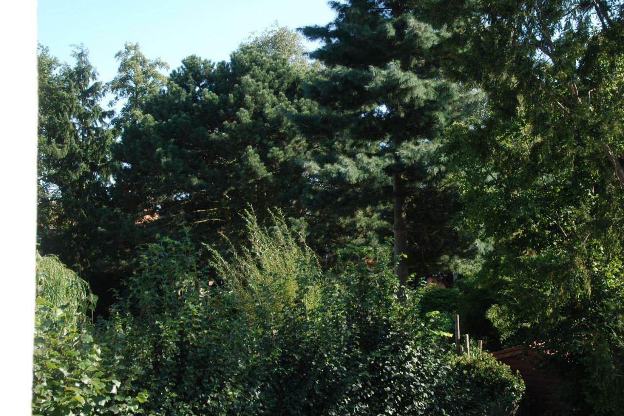 B&B Garden55 Mechelen Exteriér fotografie